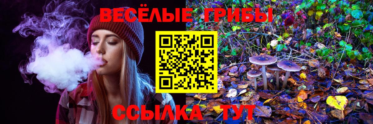 Галлюциногенные грибы MAGIC MUSHROOMS  Вход с VPN  купить  цена  Луга 